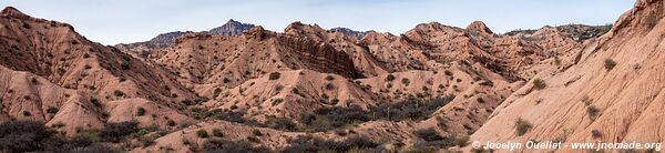 Camino de Los Colorados - Argentine