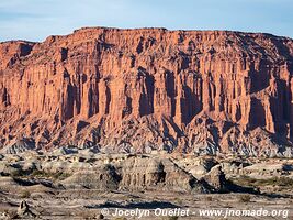 Parque Provincial Ischigualasto - Argentine