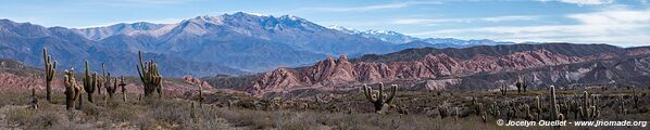 Camino de Los Colorados - Argentine