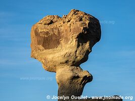 Parque Provincial Ischigualasto - Argentina