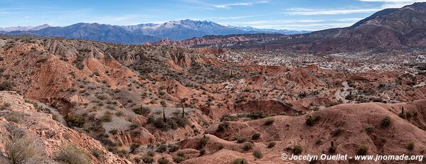 Parque Nacional Los Cardones - Argentine