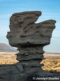 Parque Provincial Ischigualasto - Argentine