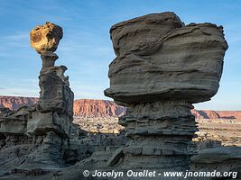 Parque Provincial Ischigualasto - Argentine