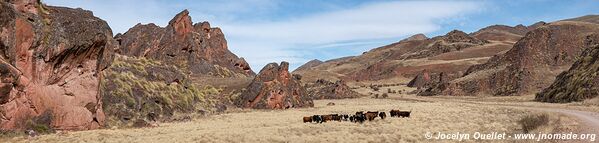 Valle Encantado - Cuesta del Obispo - Argentina