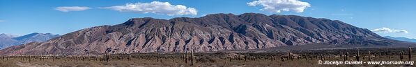 Parque Nacional Los Cardones - Argentina