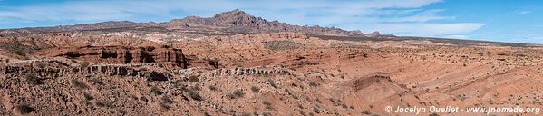 Parque Nacional Los Cardones - Argentina