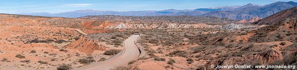 Parque Nacional Los Cardones - Argentina