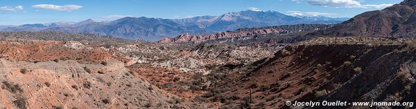 Parque Nacional Los Cardones - Argentine