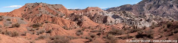 Parque Nacional Los Cardones - Argentine