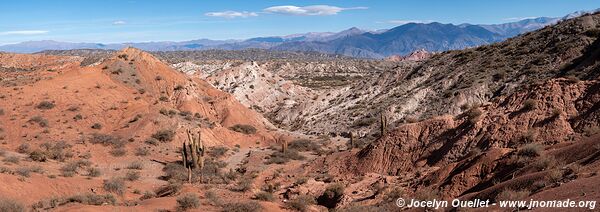 Parque Nacional Los Cardones - Argentine