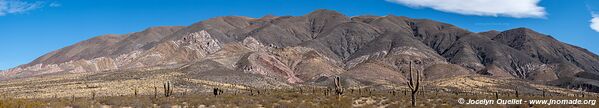 Parque Nacional Los Cardones - Argentine