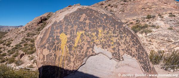 Cerro Tunduqueral - Uspallata - Argentine