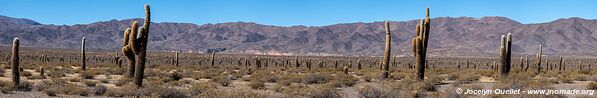 Parque Nacional Los Cardones - Argentine