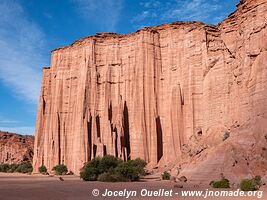 Parque Nacional Talampaya - Argentine