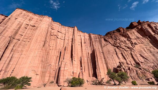 Parque Nacional Talampaya - Argentine