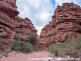 Parque Nacional Talampaya - Argentina