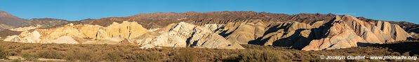 Route de Barreal à Calingasta - Argentine