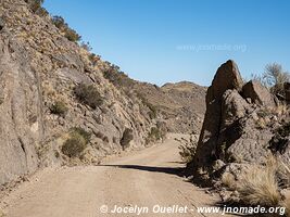 Road from Punta de Balasto to Andalgalá - Argentina