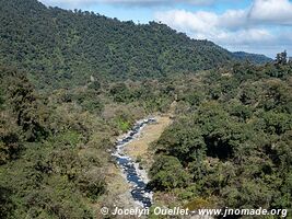 Reserva natural provincial Los Sosa - Argentine