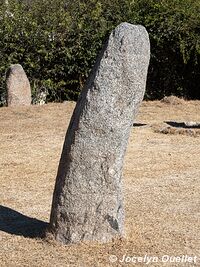 Parque Provincial de los Menhires - El Mollar - Argentine