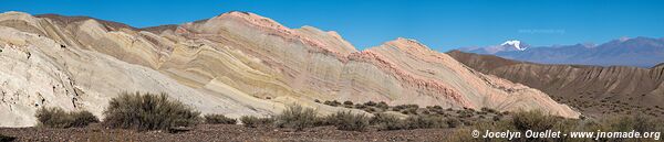 Route de Barreal à Calingasta - Argentine