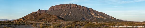 Parque Provincial Ischigualasto - Argentine