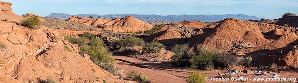 Parque Provincial Ischigualasto - Argentine