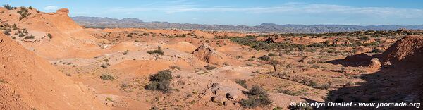 Parque Provincial Ischigualasto - Argentine