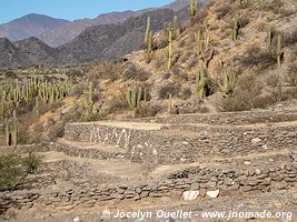 Ruinas de los Quilmes - Argentine