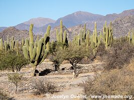 Ruinas de los Quilmes - Argentine