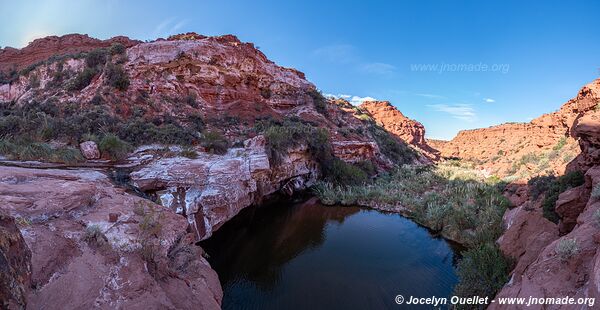 Parque Provincial Ischigualasto - Argentina