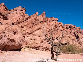 Quebrada de las Conchas - Argentina