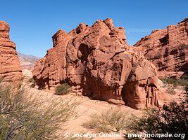 Quebrada de las Conchas - Argentine