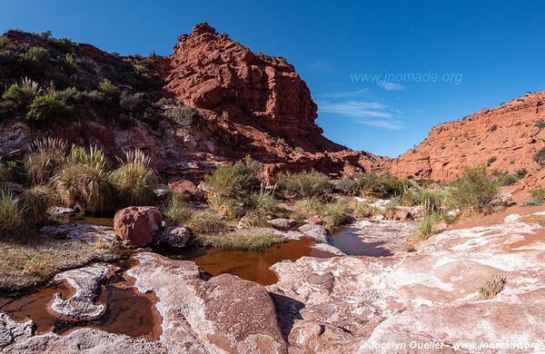 Parque Provincial Ischigualasto - Argentina