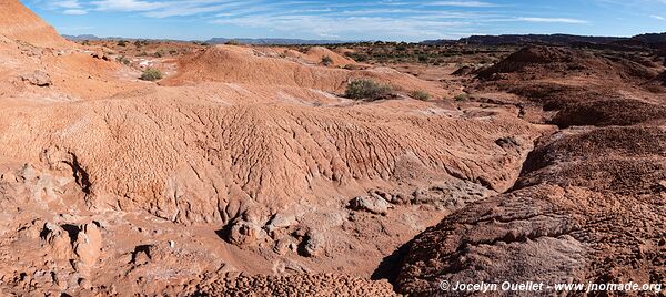 Parque Provincial Ischigualasto - Argentine