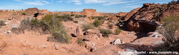 Parque Provincial Ischigualasto - Argentina