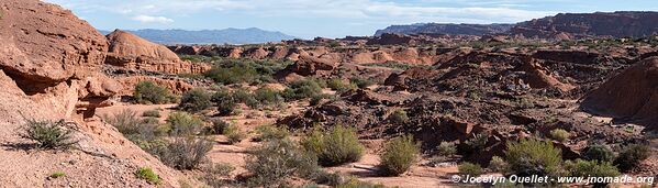 Parque Provincial Ischigualasto - Argentine