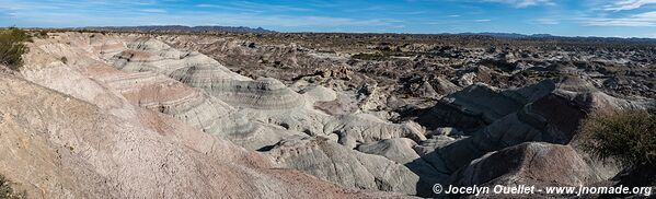 Parque Provincial Ischigualasto - Argentina