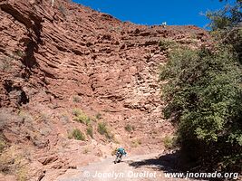 Quebrada de las Conchas - Argentina