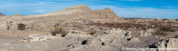 Parque Provincial Ischigualasto - Argentine