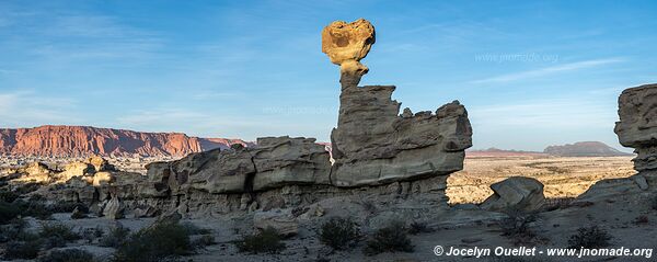 Parque Provincial Ischigualasto - Argentine