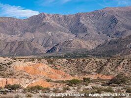 Piste Molinos-Colomé-Cuchiyaco-Brealito-Seclantás - Argentine