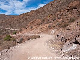 Molinos-Colomé-Cuchiyaco-Brealito-Seclantás Trail - Argentina