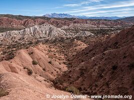 Camino de Los Colorados - Argentine