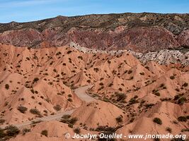 Camino de Los Colorados - Argentina