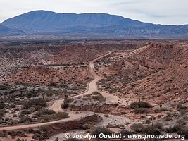 Parque Nacional Los Cardones - Argentina