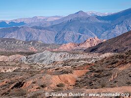 Parque Nacional Los Cardones - Argentine