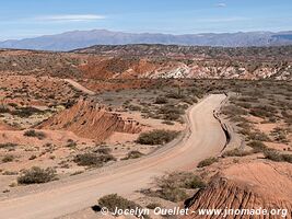 Parque Nacional Los Cardones - Argentine