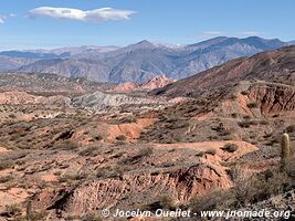 Parque Nacional Los Cardones - Argentine