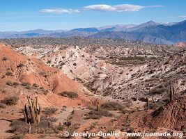 Parque Nacional Los Cardones - Argentine